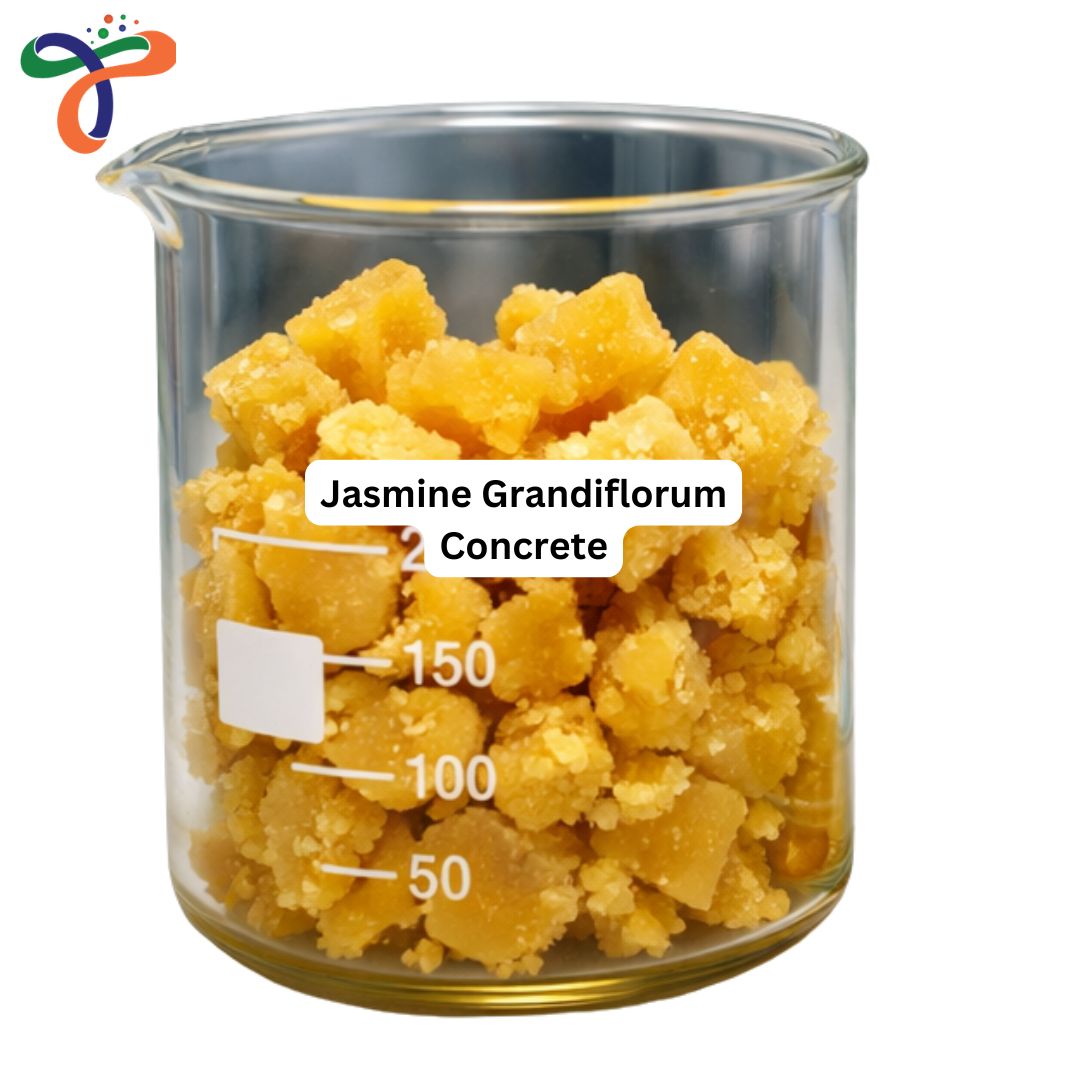 Jasmine Grandiflorum Concrete